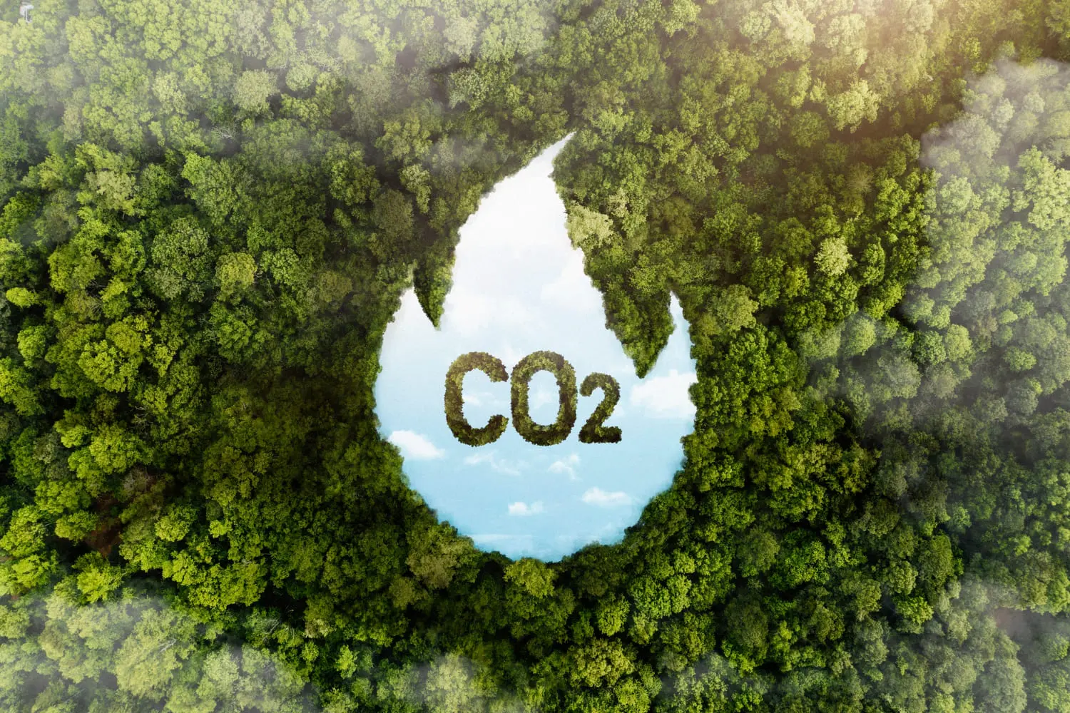 Ile Polska płaci za emisję CO2 – koszty, które zmieniają nasze rachunki i gospodarkę