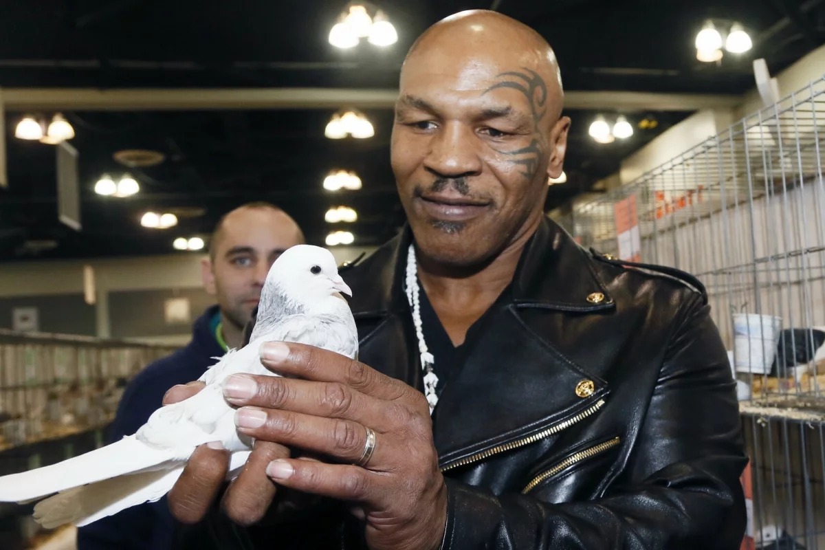 Mike tyson gołębie: pasja, która ukształtowała legendę boksu