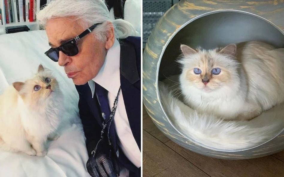 Karl Lagerfeld kot Choupette – ikona luksusu i mody